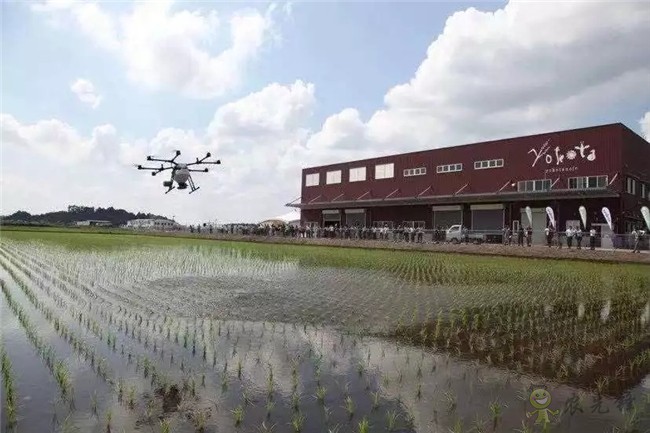 帶你回顧2019 DJI 大疆農(nóng)業(yè)