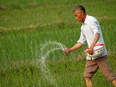 加強(qiáng)生物固氮科技創(chuàng)新，助力耕地資源保護(hù)與耕地質(zhì)量提升