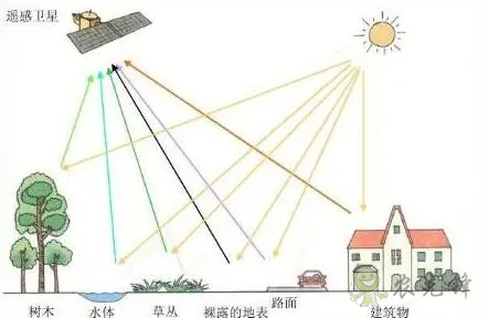 中國遙感衛星再添新成員 看TA在太空如何對農作物“稱斤計兩”？