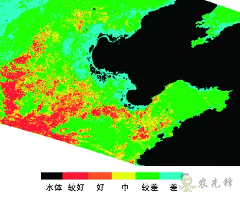 中國遙感衛星再添新成員 看TA在太空如何對農作物“稱斤計兩”？