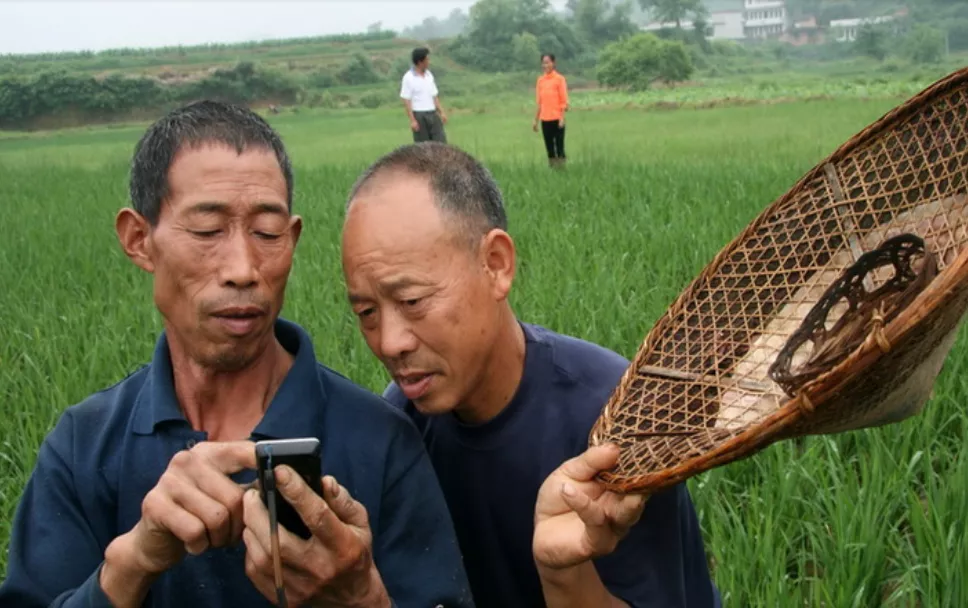 白描 苑鵬：現(xiàn)代化進(jìn)程中我國農(nóng)民全面發(fā)展的痛點(diǎn)