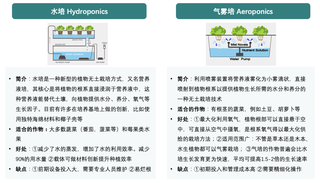 垂直農業(yè)，一個可持續(xù)的未來？