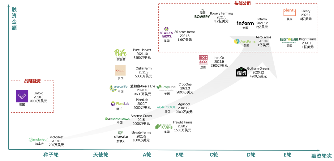 垂直農業(yè)，一個可持續(xù)的未來？