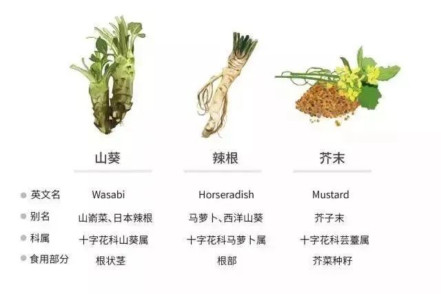 日本百年芥末農(nóng)場(chǎng)：精耕單品，專(zhuān)注美食，以靜制動(dòng)