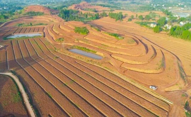 重慶在全國率先實施丘陵山區(qū)高標準農(nóng)田改造提升示范工程